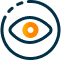 Eye Icon